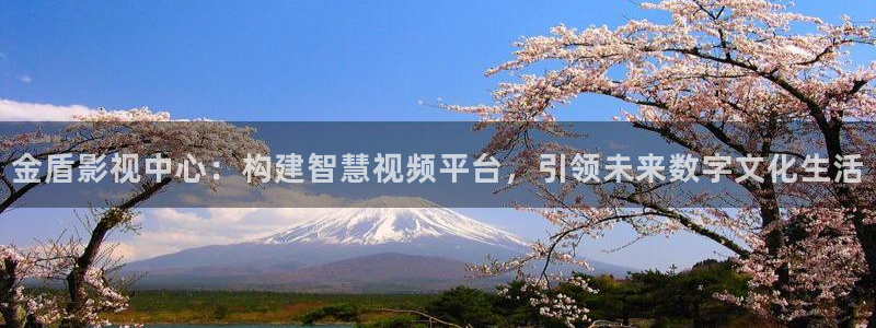 西瓜澎大：金盾影视中心：构建智慧视频平台，引领未来数字文化生活