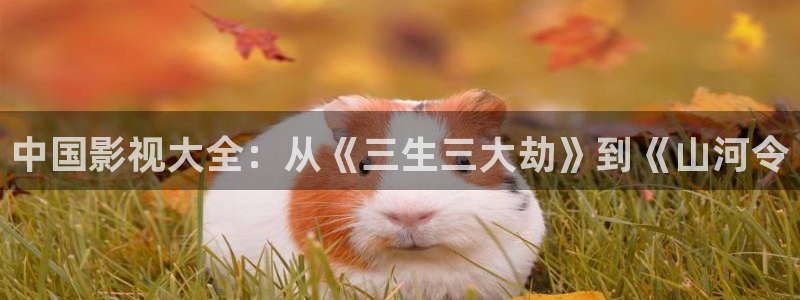 觉醒年代免费观看西瓜：中国影视大全：从《三生三大劫》到《山河令