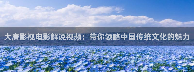 琉璃在线观看完整版免费全集西瓜：大唐影视电影解说视频：带你领略中国传统文化的魅力