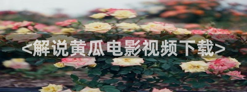 西瓜浙江省：<解说黄瓜电影视频下载>