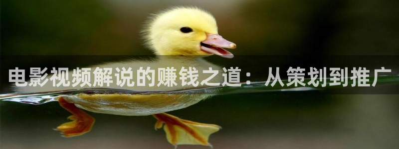 西瓜免费看电影：电影视频解说的赚钱之道：从策划到推广