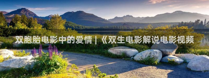 西瓜本：双胞胎电影中的爱情 | 《双生电影解说电影视频