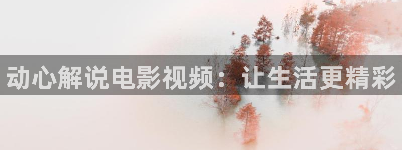 西瓜视频旧：动心解说电影视频：让生活更精彩