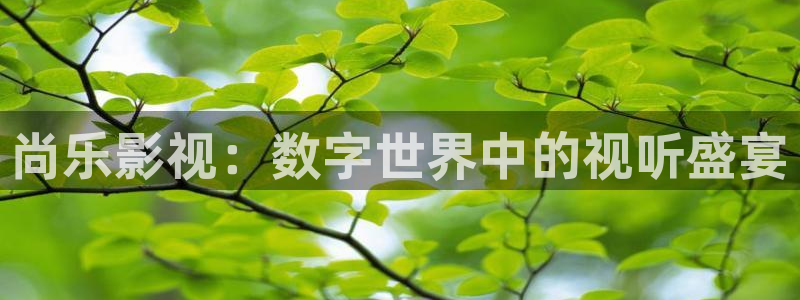 西瓜免费观看在线高清电视剧：尚乐影视：数字世界中的视听盛宴