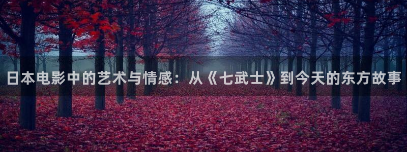 西瓜影院天狼：日本电影中的艺术与情感：从《七武士》到今天的东方故事