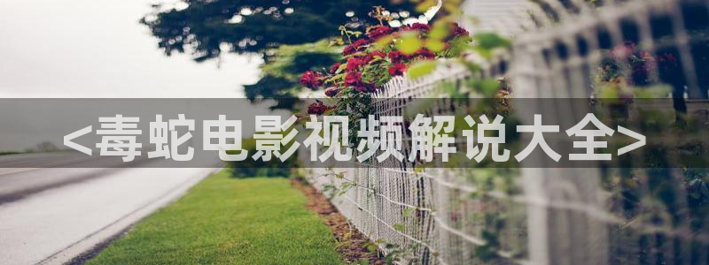 与君歌西瓜影院免费观看：<毒蛇电影视频解说大全>