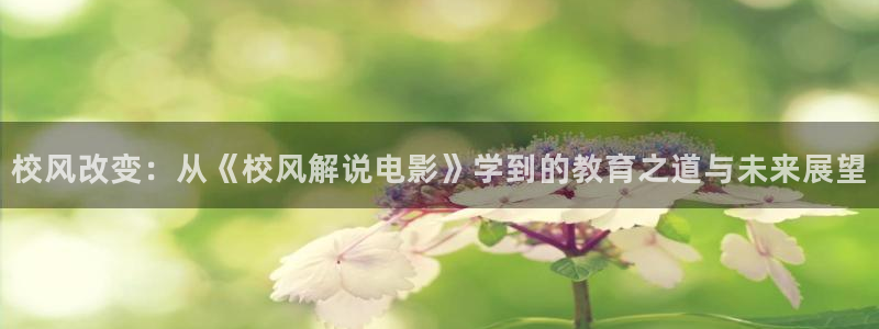 纯真年代韩国电影高清西瓜：校风改变：从《校风解说电影》学到的教育之道与未来展望
