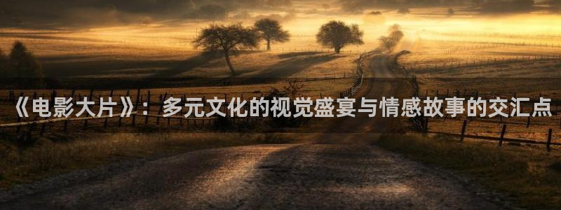 大决战之辽沈战役在线观看西瓜：《电影大片》：多元文化的视觉盛宴与情感故事的交汇点
