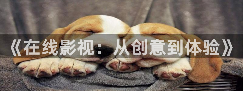 大西瓜影院免费观看电视剧大全：《在线影视：从创意到体验》