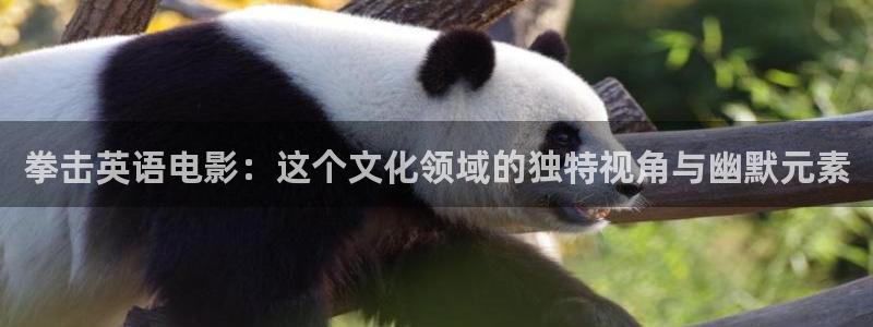 手机西瓜影院：拳击英语电影：这个文化领域的独特视角与幽默元素