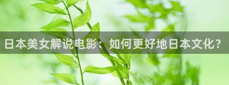西瓜影院2025在线观看免费高清电视剧：日本美女解说电影：如何更好地日本文化？