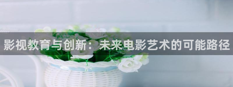 最新电影西瓜：影视教育与创新：未来电影艺术的可能路径
