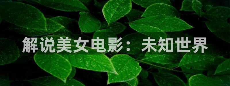 燕云台在线观看西瓜：解说美女电影：未知世界